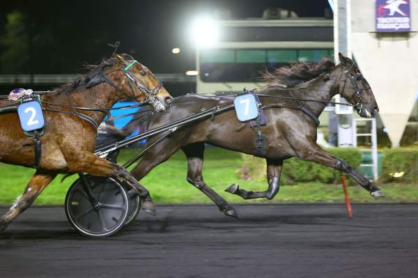 La photo de Kelly Jane Arrivée Quinté+ Pmu Prix de Cahors à Vincennes