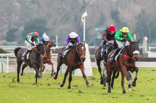 La photo de Kashdam Arrivée PMU GSC Masters - Prix Robert de Clermont-Tonnerre à Auteuil