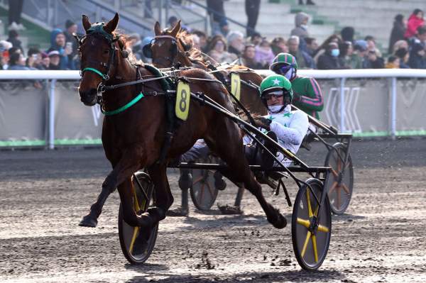 La photo de Junkie Arrivée Quinté+ PMU Prix de la Gacilly, dimanche à Vincennes