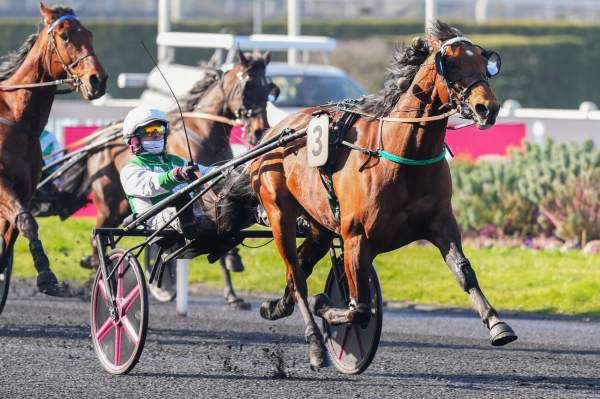 La photo de Die Hard Arrivée Quinté+ Pmu Prix de l'Hippodrome d'Angers-Ecouflant à Vincennes