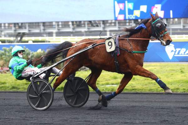 La photo de Gamin Des Isles Arrivée Quinté+ Pmu Prix du Cantal à Vincennes