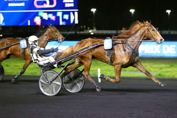 La photo de Krakante Arrivée Quinté+ Pmu Prix de Pont-l’Evêque à Vincennes