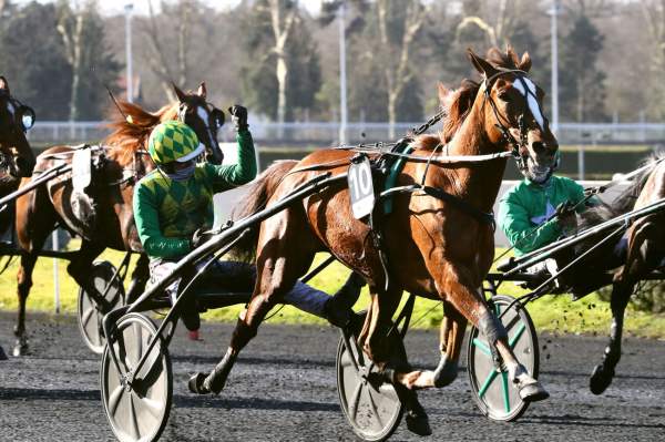 La photo de Joumba De Guez Arrivée Quinté+ Pmu Prix de Paris - Amérique Races 2025 à Vincennes