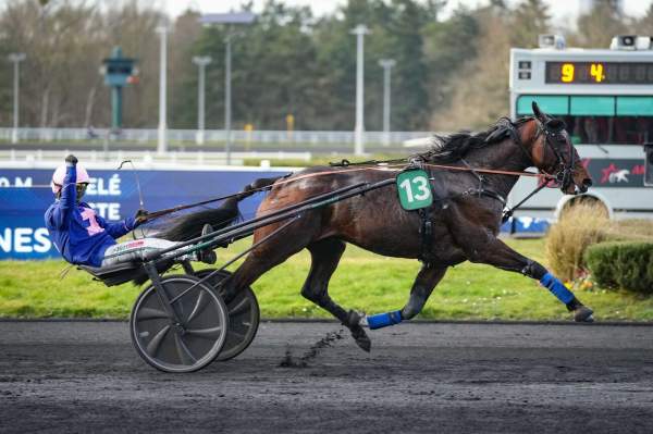 La photo de Kanto Avis Arrivée PMU Prix de la Mayenne à Vincennes