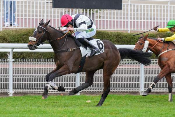 La photo de Kalibre Arrivée Quinté+ Pmu Prix Souviens-Toi à Auteuil