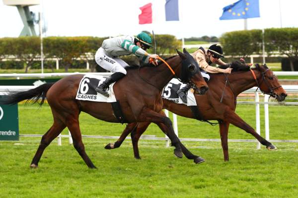 La photo de Morsan Arrivée Quinté Pmu Prix Rauba Capeu à Cagnes-sur-Mer