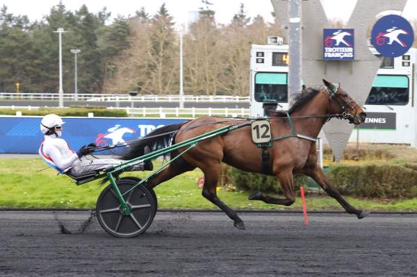 La photo de Ninepoints Lasse arrivée Quinté+ pmu Prix de Sedan à Paris-Vincennes