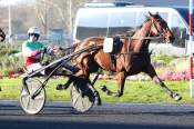 La photo de Mille Etoiles arrivée Quinté+ pmu Prix Leopold Verroken à Vincennes