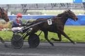 La photo de Lucifer Du Caieu arrivée pmu Prix de Montluçon à Vincennes