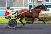 La photo de Iron Mijack arrivée pmu Prix de Marolles à Vincennes