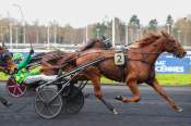 La photo de Kempel De Guez arrivée pmu Prix de Grignan à Vincennes