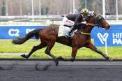 La photo de Melancholy Man arrivée pmu Prix de Falot à Vincennes