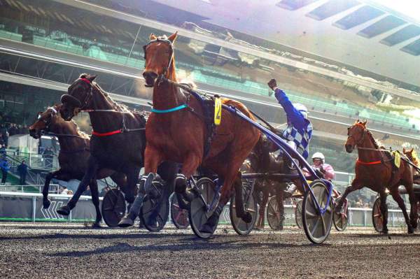 La photo de London Arrivée Quinté+ PMU Prix de Sélection - Prix Face Time Bourbon à Vincennes