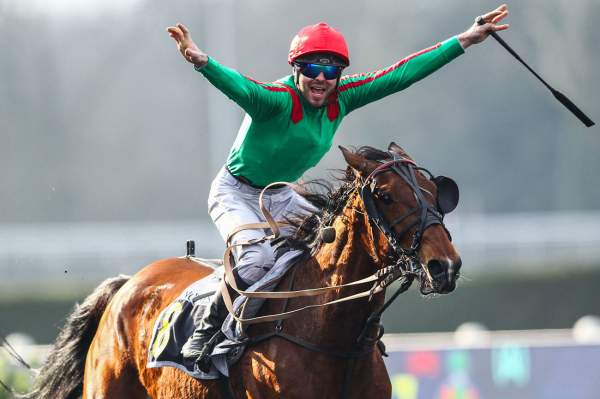 La photo de Hirondelle Du Rib Arrivée PMU Prix Henri Desmontils à Vincennes