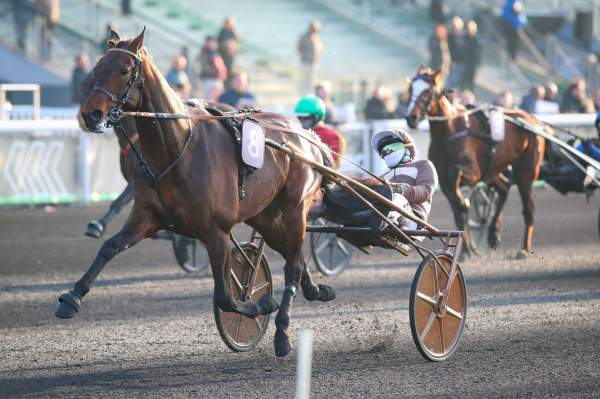 La photo de Learn To Fly Arrivée PMU Prix Franck Anne - Prix Vindex à Vincennes