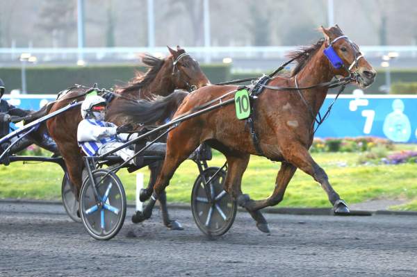 La photo de Inexess Bleu Arrivée PMU Prix du Plateau de Gravelle à Vincennes