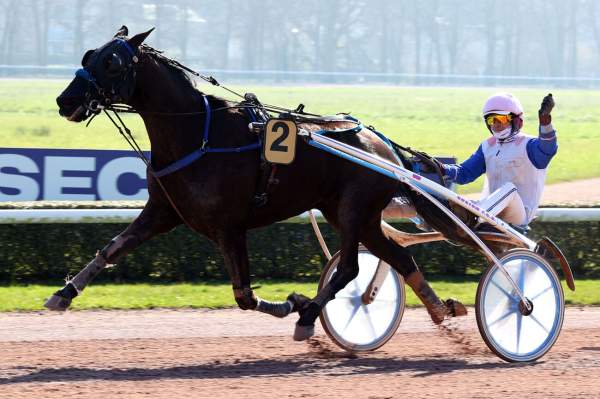 La photo de Huitre D'or Arrivée Quinté+ Pmu Prix de Saint-Etienne à Caen