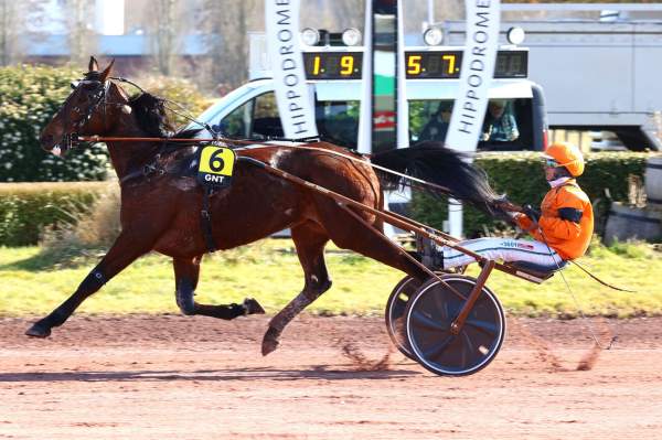 La photo de Indy De Jyr Arrivée Quinté+ Grand National du Trot 2025 étape1 Amiens