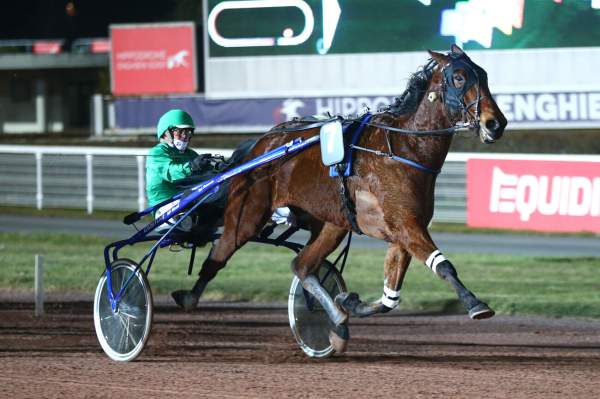 La photo de Playboy De Reve Arrivée Quinté+ PMU Prix Quick Williams à Enghien