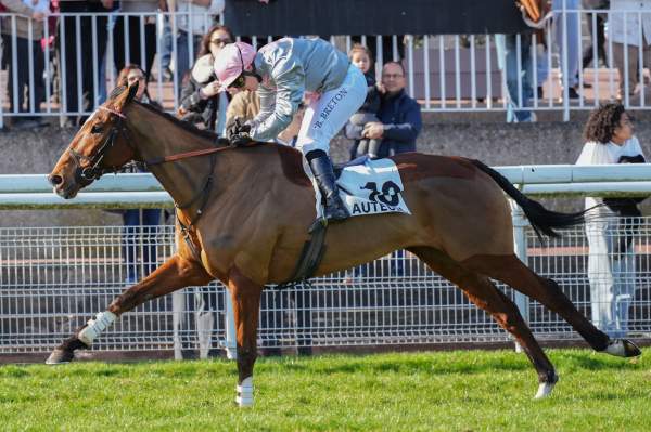 La photo de Reve De Prince arrivée Quinté+ pmu Prix Predicateur (Lr) à Auteuil