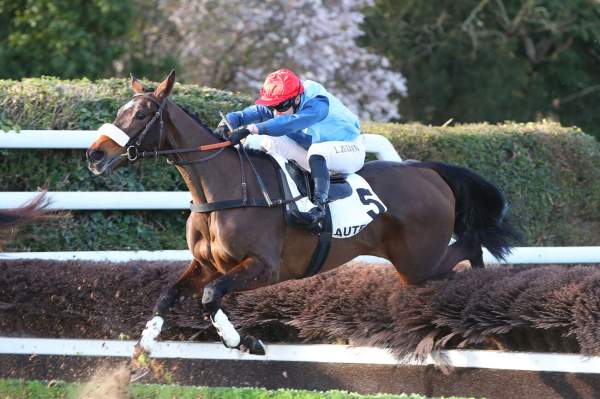 La photo de Moody Risk Arrivée PMU Prix Virelan à Auteuil