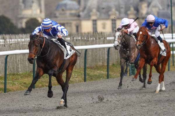 La photo de Tito Mo Cen Arrivée PMU Prix Maurice Caillault à Chantilly