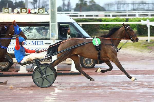 La photo de Emeraude De Bais Arrivée Grand Critérium de Vitesse à Cagnes-sur-Mer