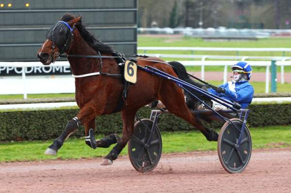 La photo de Haddock Du Clos Arrivée Quinté+ Pmu Prix de Bellengreville à Caen