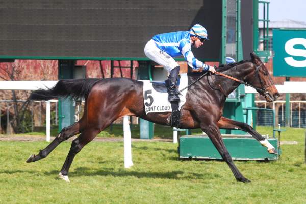 La photo de Darius Cen arrivée pmu Prix Pmnium II (L) à Saint-Cloud