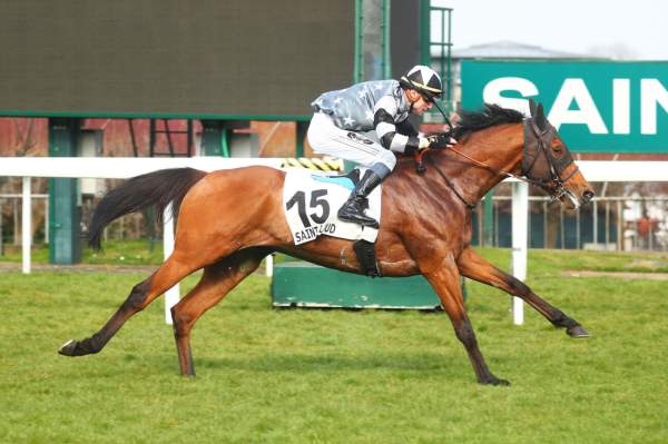 La photo de Mehlango arrivée Quinté+ pmu Prix de la Gloriette à Saint-Cloud