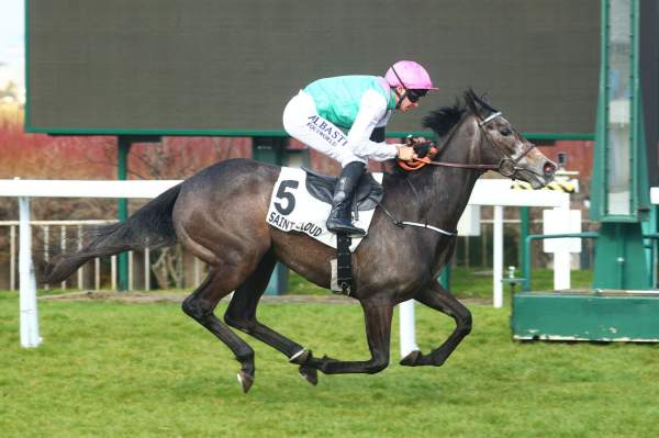 La photo de Flaming Stone arrivée pmu Prix La Camargo (L) à Saint-Cloud