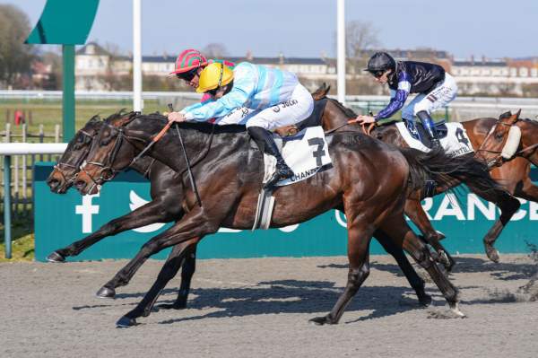 La photo de Afogado Arrivée Quinté+ Pmu Prix des Quatre Glacières à Chantilly