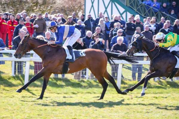 La photo de Wild West Arrivée Quinté+ Pmu Prix Hubert de Catheu à Fontainebleau