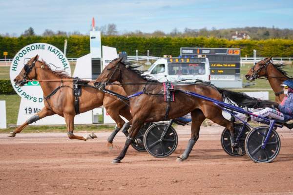 La photo de Ialto D'Hertals Arrivée Quinté+ Pmu Prix Terres d’Argentan Normandie à Argentan