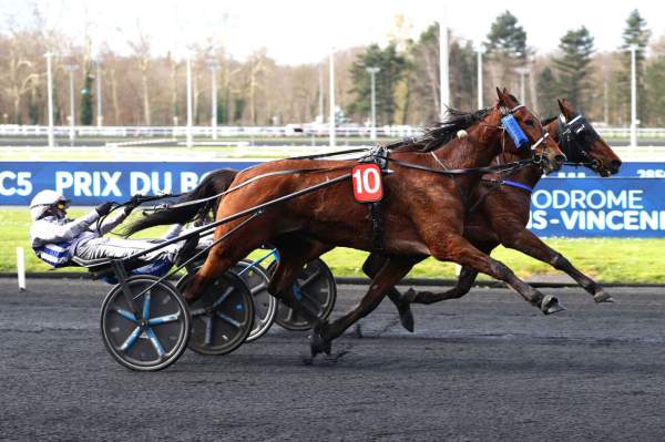 La photo de Inexess Bleu Arrivée PMU Prix du Bois de Vincennes