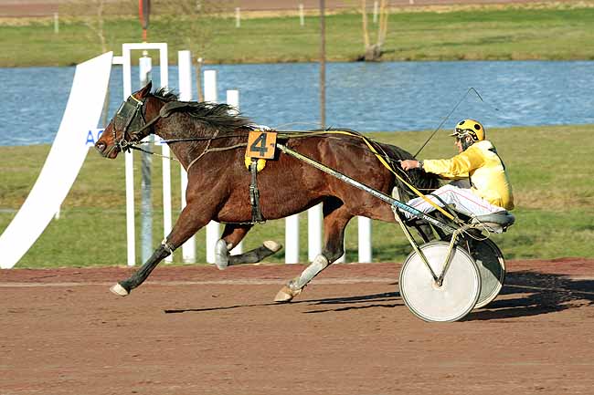 Arrivée quinté pmu PRIX DE LAVAL à AGEN LE PASSAGE