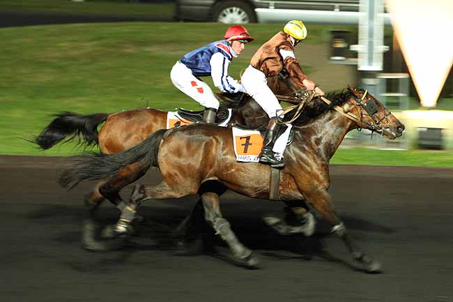 Arrivée quinté pmu PRIX ANTIGONE à PARIS-VINCENNES