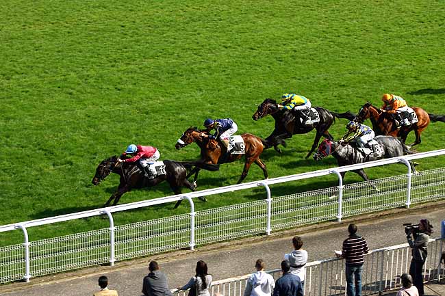 Arrivée quinté pmu PRIX DE BETHEMONT à MAISONS-LAFFITTE