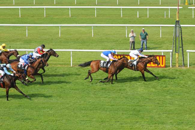 Arrivée quinté pmu PRIX DES ERABLES à FONTAINEBLEAU