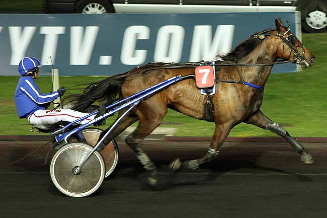 Arrivée quinté pmu PRIX FURNERIUS à PARIS-VINCENNES
