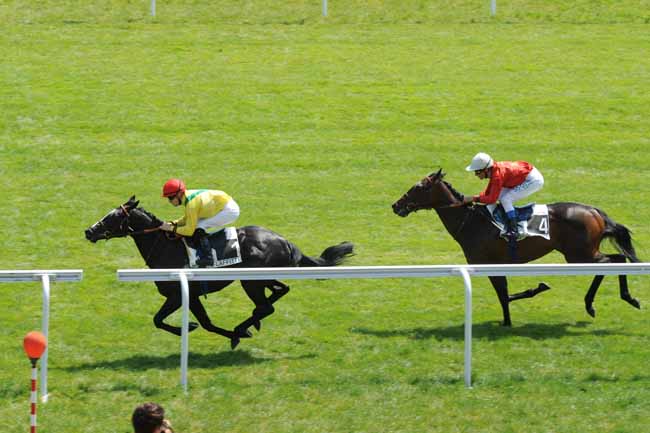 Arrivée quinté pmu PRIX RIVERMAN à MAISONS-LAFFITTE