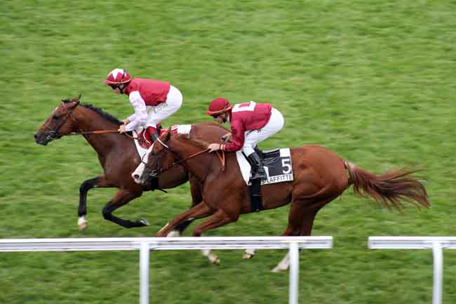 Arrivée quinté pmu PRIX DAGOR à MAISONS-LAFFITTE