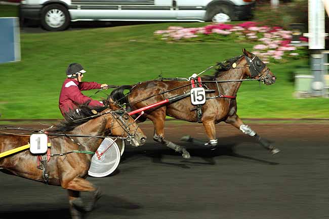 Arrivée quinté pmu PRIX ASCHERA à PARIS-VINCENNES