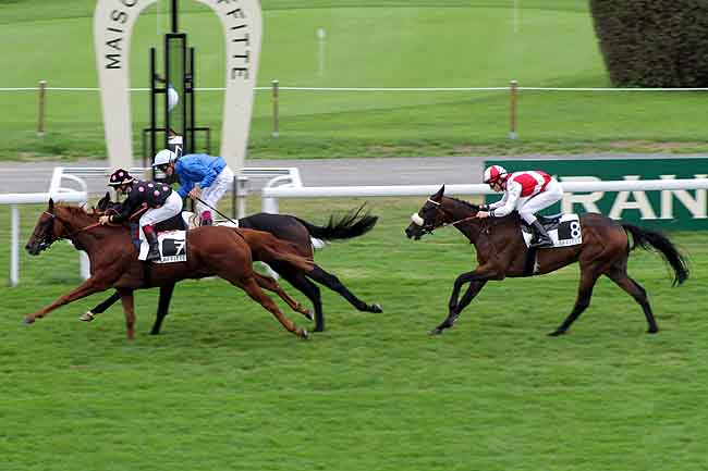 Arrivée quinté pmu PRIX KASTEEL à MAISONS-LAFFITTE