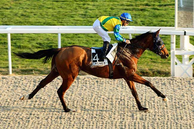 Arrivée quinté pmu PRIX DE RIMIEZ à CAGNES-SUR-MER