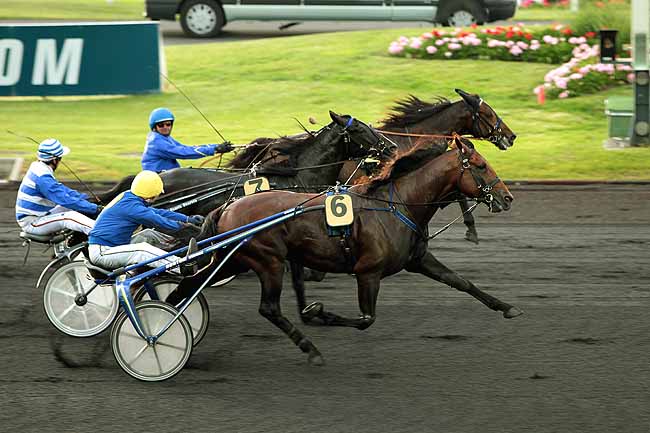 Arrivée quinté pmu PRIX CHAMBON P à PARIS-VINCENNES