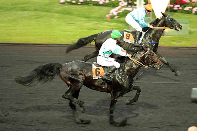 Arrivée quinté pmu PRIX LAVATER à PARIS-VINCENNES
