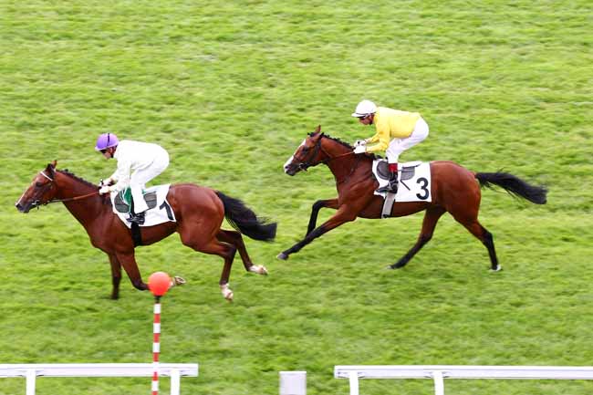 Arrivée quinté pmu PRIX PHAREL à MAISONS-LAFFITTE