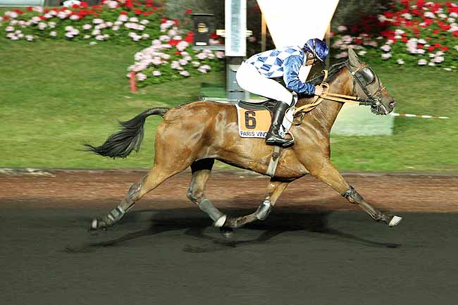 Arrivée quinté pmu PRIX ALKESTE à PARIS-VINCENNES