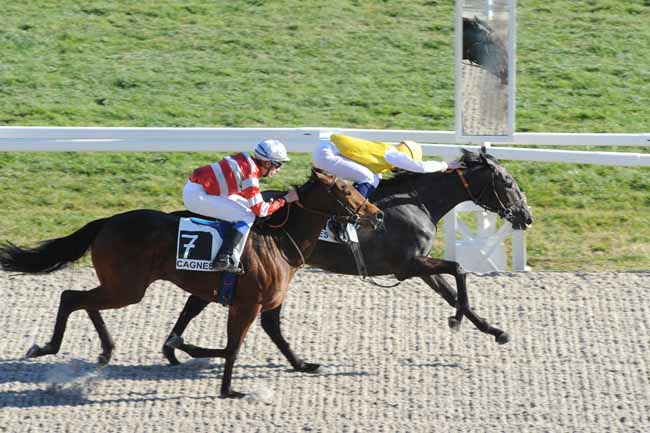Arrivée quinté pmu PRIX DES GLYCINES à CAGNES-SUR-MER